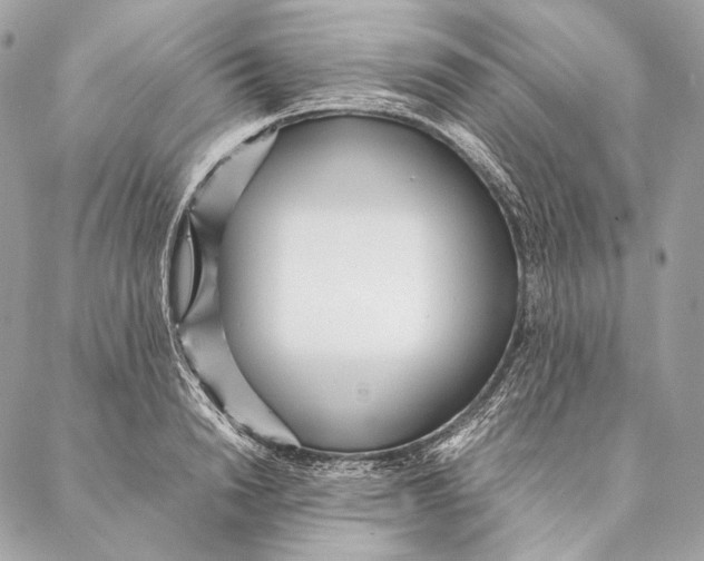 X0000087390846200705111759