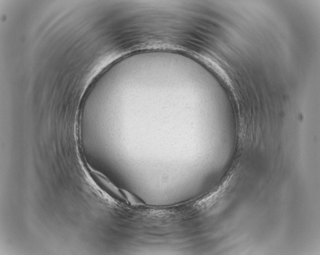 X0000087390847200705111759