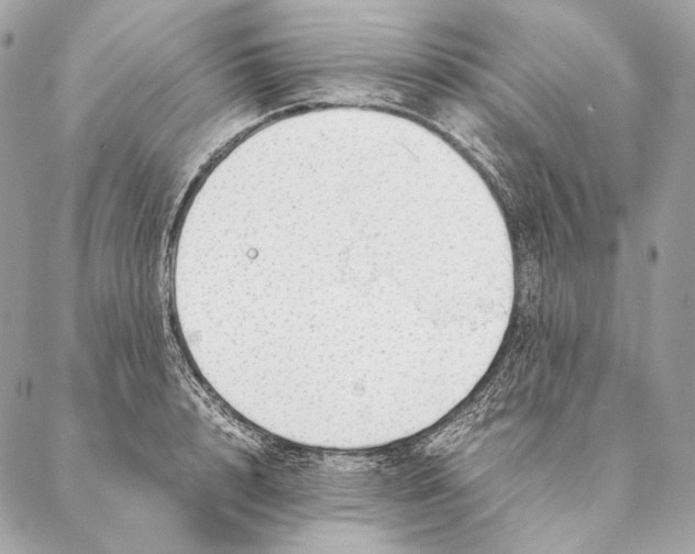 X0000087390848200705111759