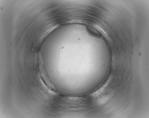 X0000087390849200705111759