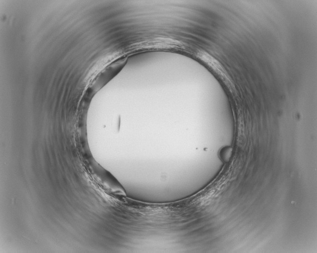 X0000087390850200705111759