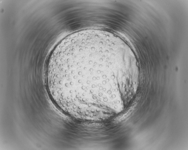 X0000087390851200705111759