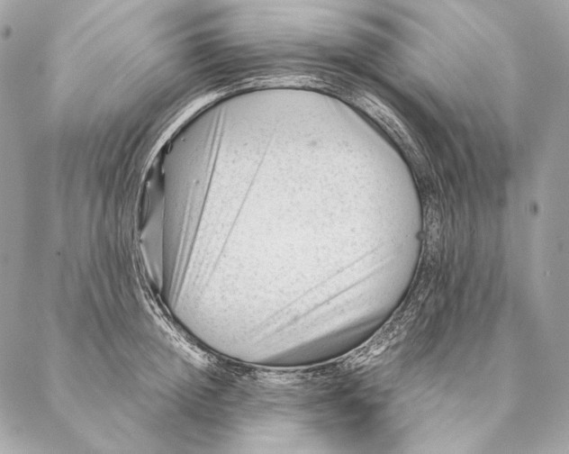 X0000087390852200705111759