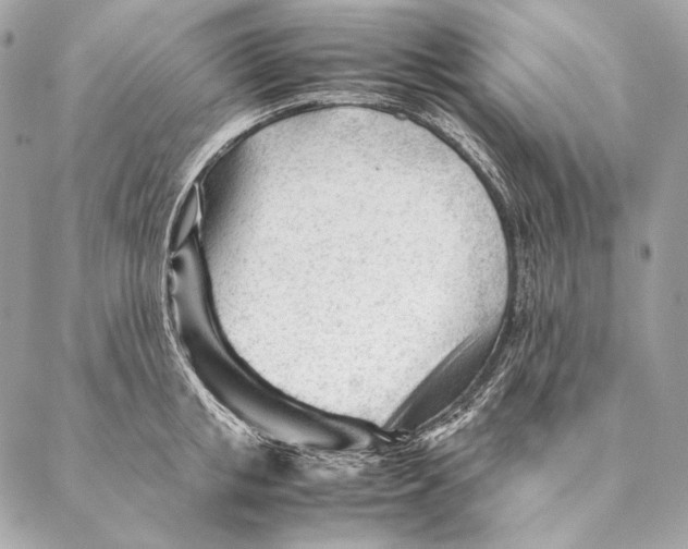 X0000087390853200705111759