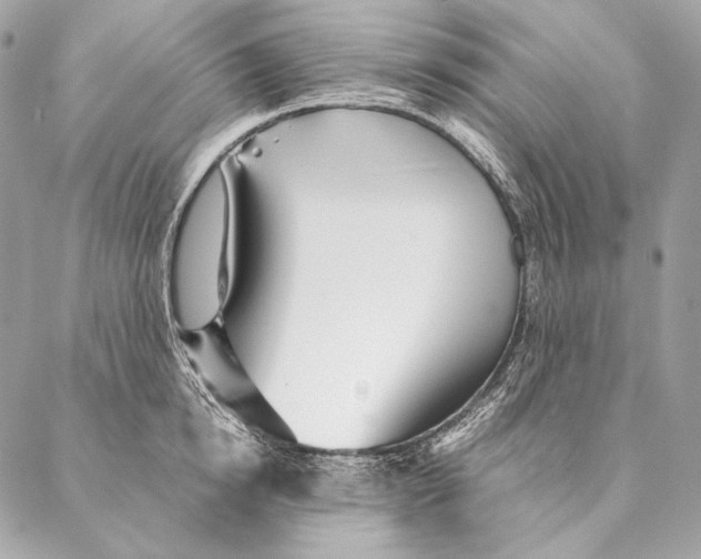 X0000087390854200705111759