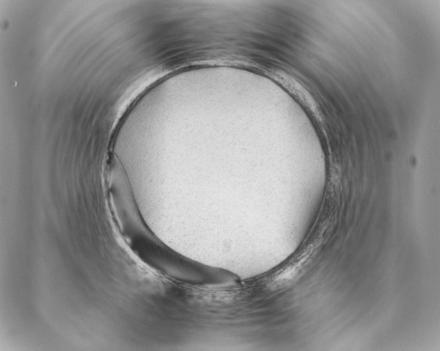 X0000087390855200705111759