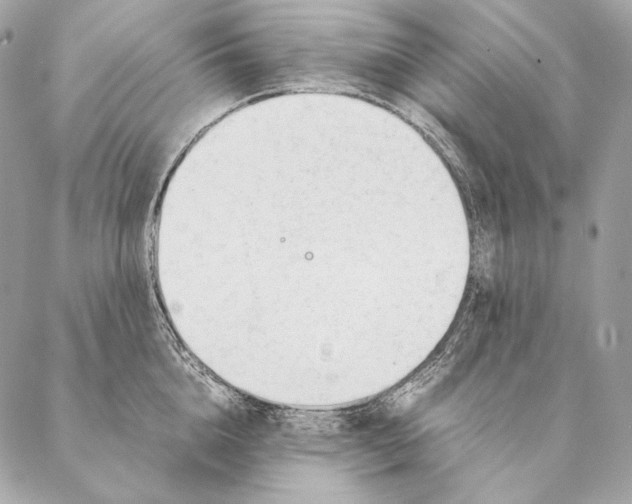 X0000087390856200705111759