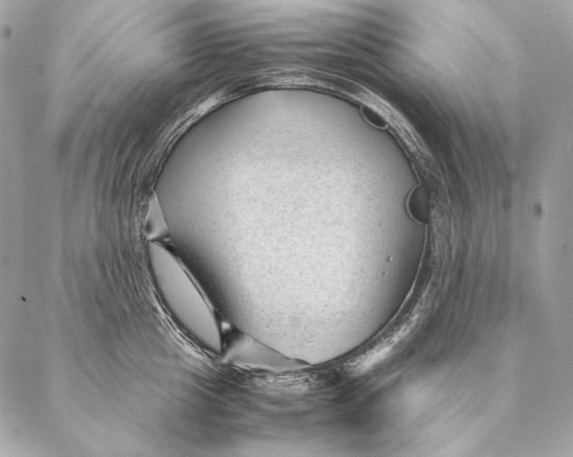 X0000087390857200705111759