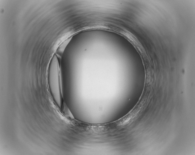 X0000087390858200705111759