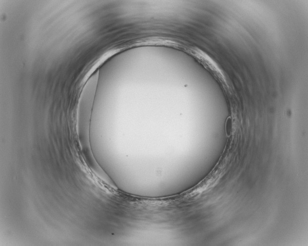 X0000087390860200705111759