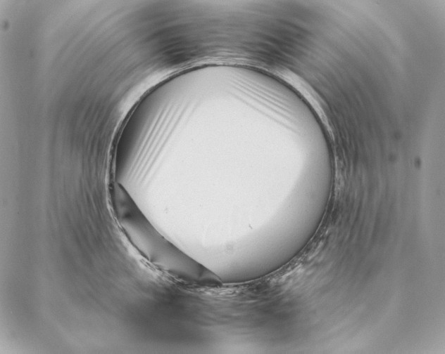 X0000087390861200705111759