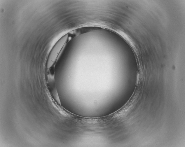 X0000087390862200705111759