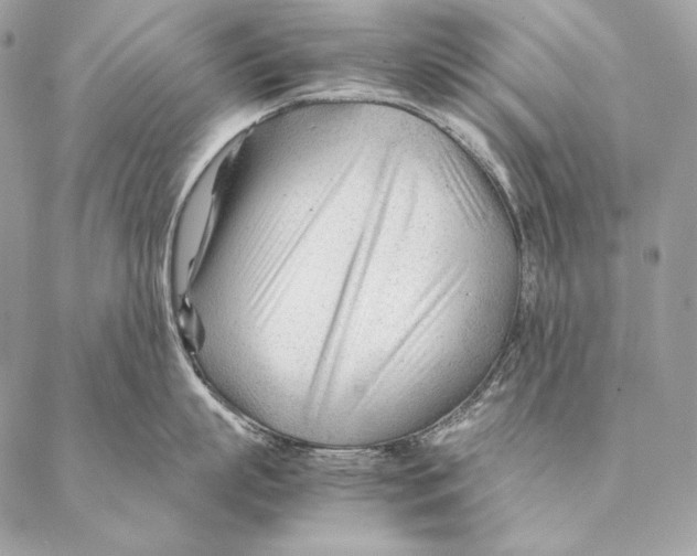 X0000087390863200705111759