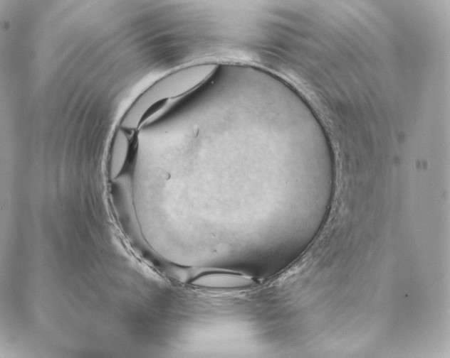 X0000087390864200705111759