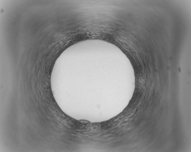 X0000087390865200705111758