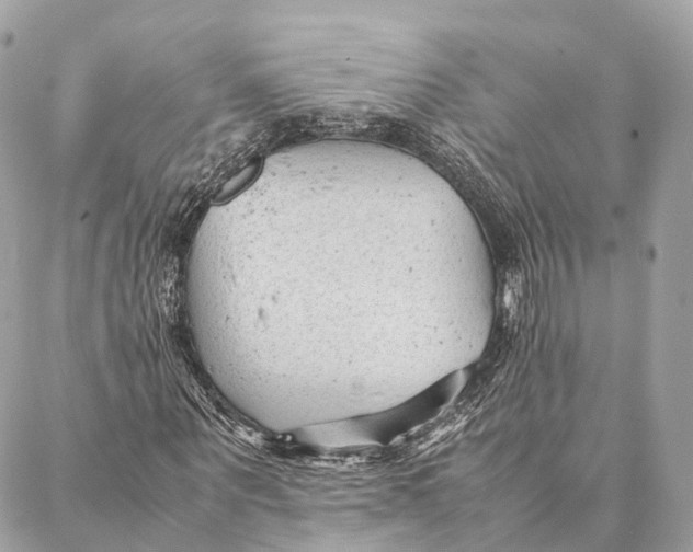 X0000087390867200705111758