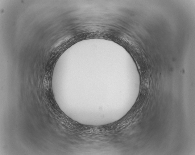 X0000087390869200705111758