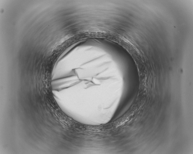 X0000087390870200705111758