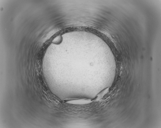 X0000087390871200705111758