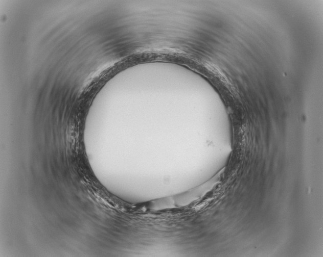 X0000087390872200705111758