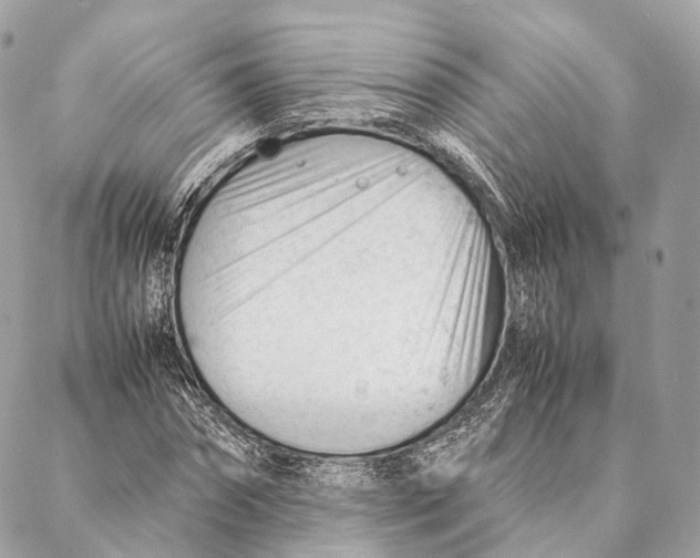 X0000087390874200705111758