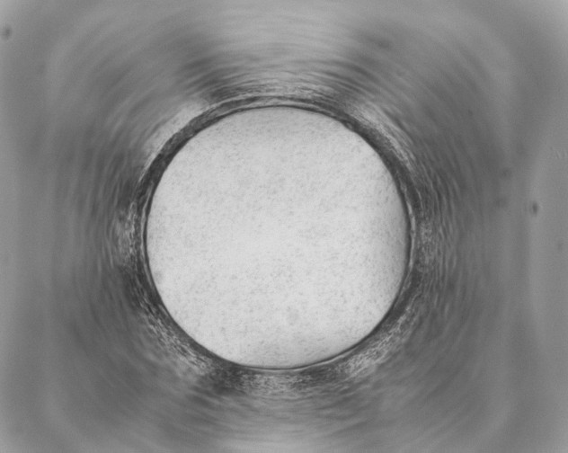 X0000087390875200705111758