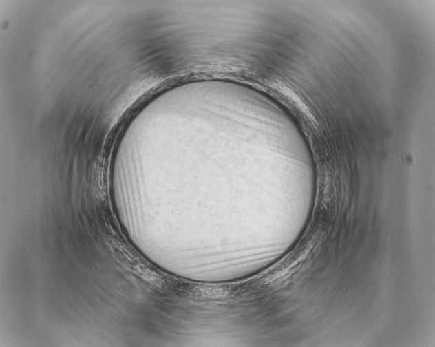 X0000087390878200705111758