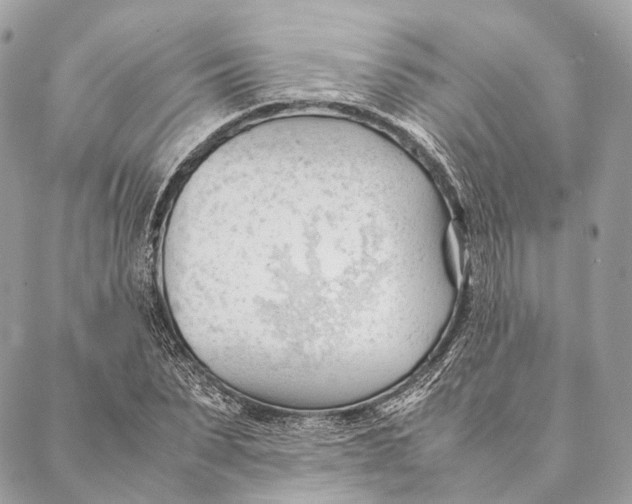 X0000087390879200705111758