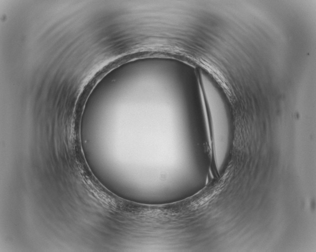 X0000087390880200705111758