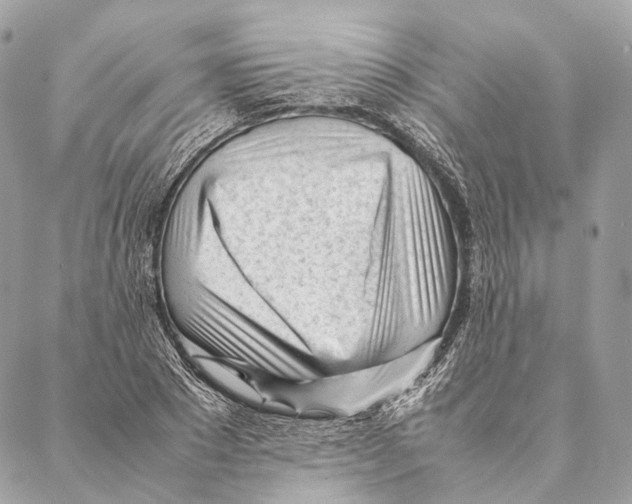 X0000087390881200705111758