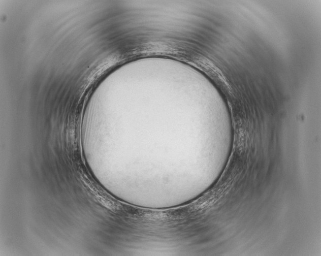 X0000087390882200705111758