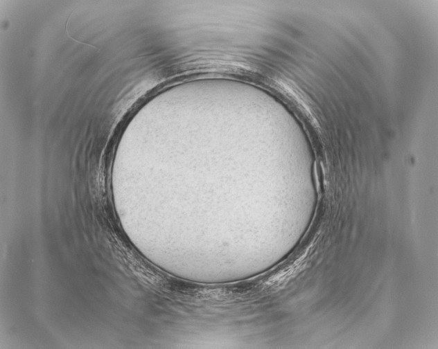 X0000087390883200705111758