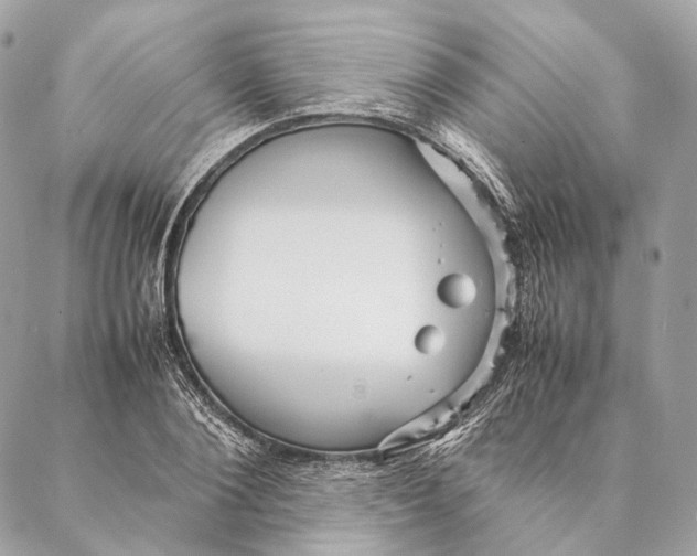 X0000087390884200705111758