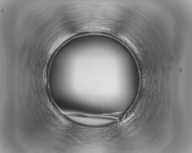 X0000087390885200705111758