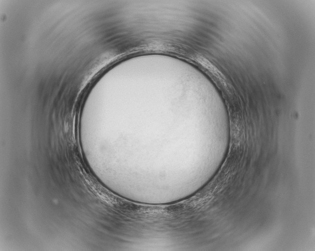 X0000087390886200705111758