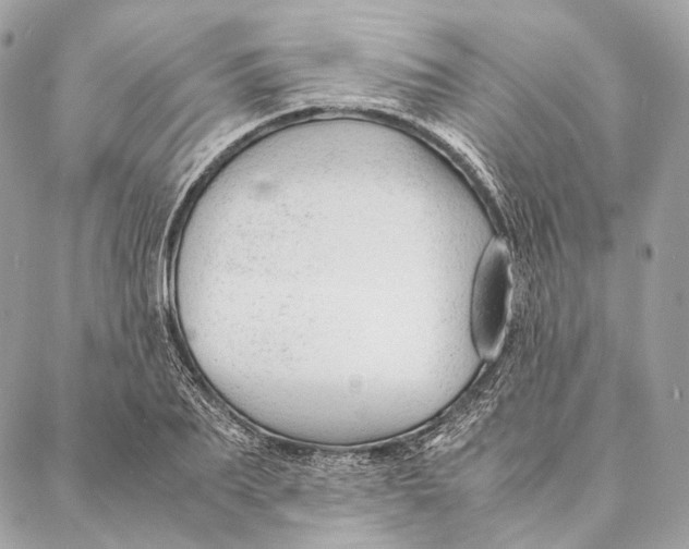 X0000087390887200705111758