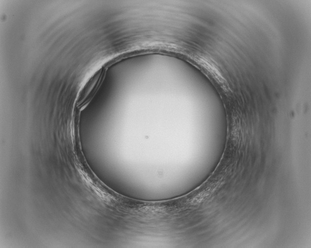 X0000087390888200705111758