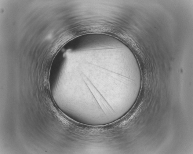 X0000087390889200705111758