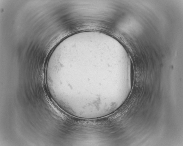 X0000087390890200705111758