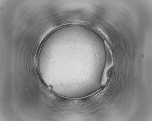 X0000087390891200705111758