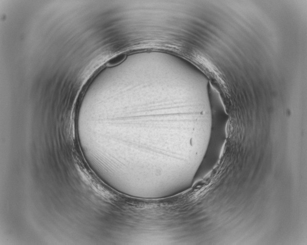 X0000087390892200705111758