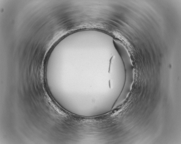 X0000087390894200705111758