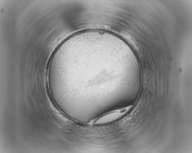 X0000087390895200705111758