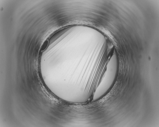 X0000087390896200705111758