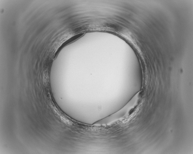 X0000087390897200705111758