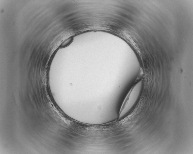 X0000087390898200705111757