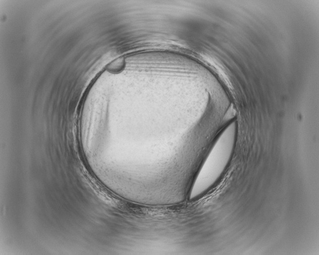 X0000087390899200705111757