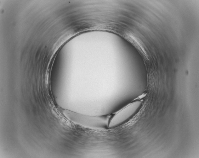 X0000087390900200705111757