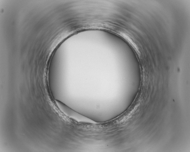 X0000087390901200705111757