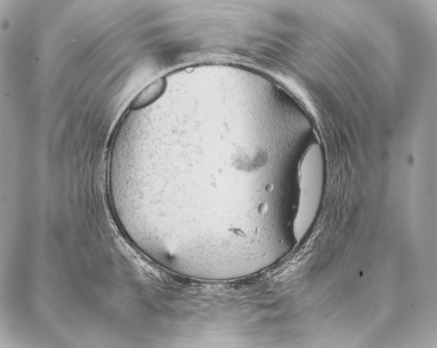 X0000087390903200705111757